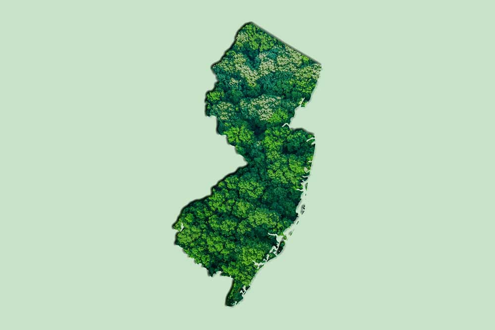 Overhead view of forest in shape of the state of New Jersey