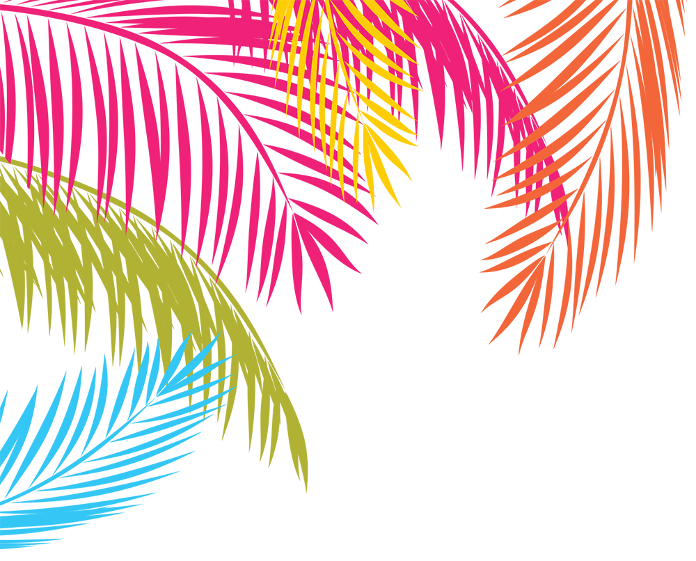 A vibrant logo featuring a majestic palm tree against a backdrop of tropical colors, representing the essence of Miami's thriving real estate market and bustling economy.
