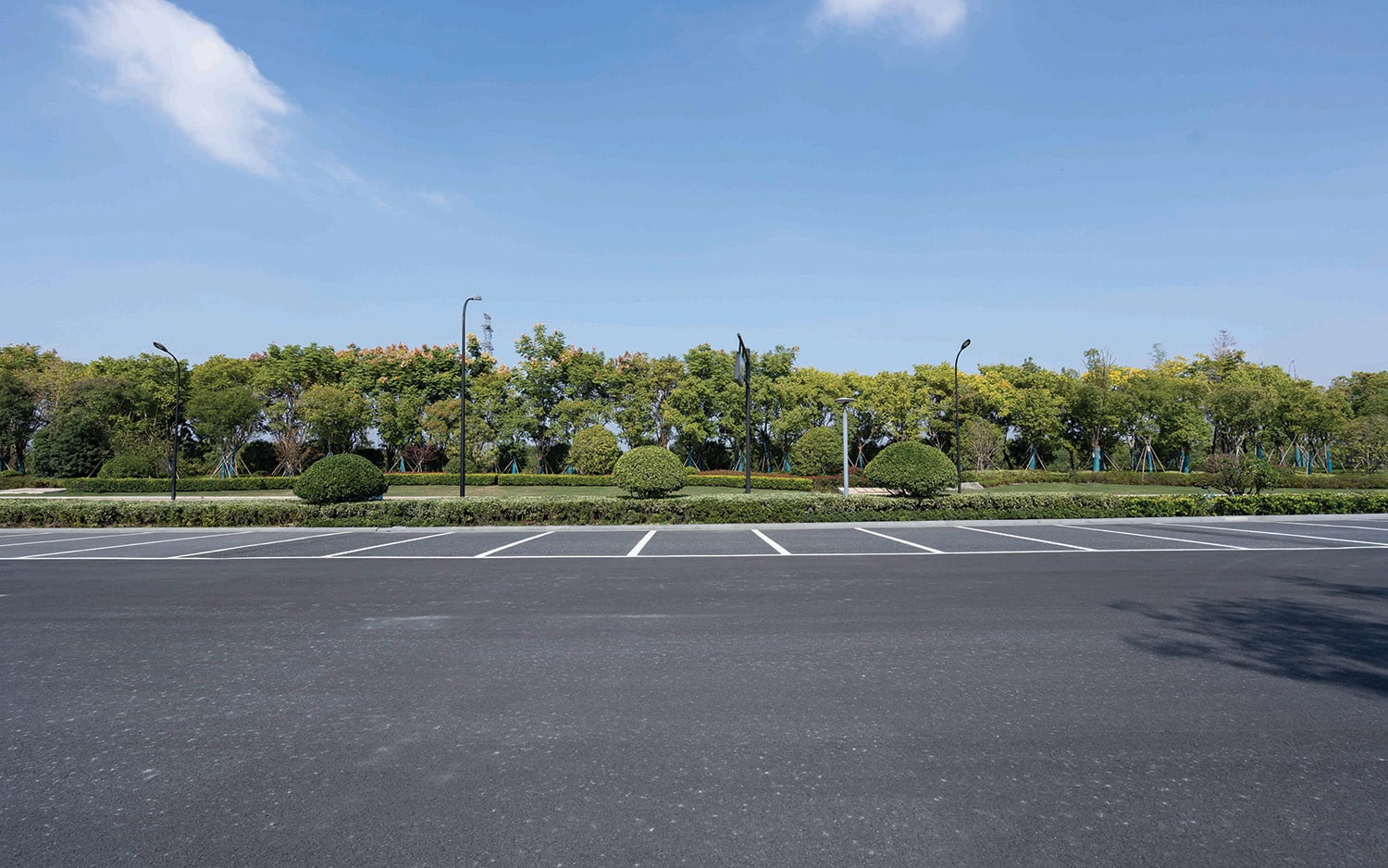 Empty parking spaces alongside a landscaped area with trees and bushes on a clear day.