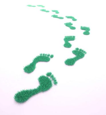 grass footprints on white background
